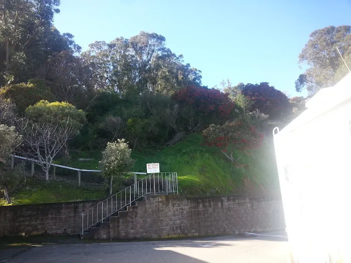 Sierra Point Trailer Park Picture 6