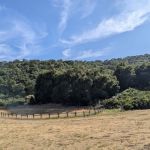 Woodlands Group Camp