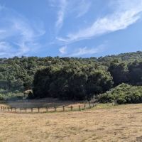 Woodlands Group Camp ico