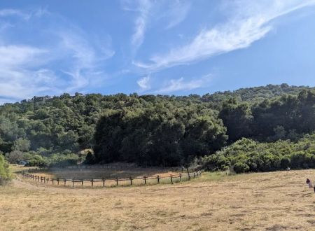 Woodlands Group Camp