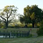 Woodland Youth Camp