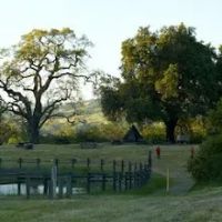 Woodland Youth Camp ico