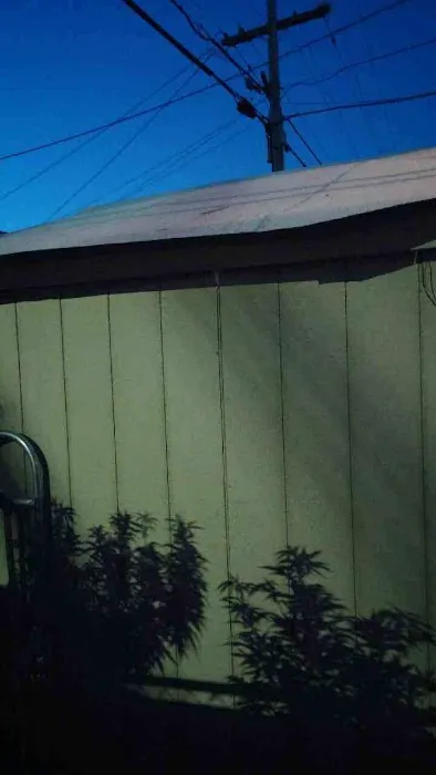 Del Rio Mobile Home Park Picture 5