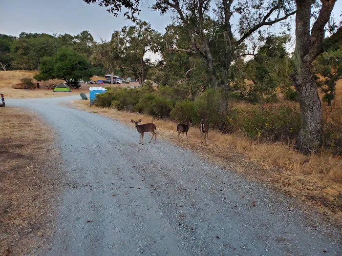 Snell Campground Picture 1