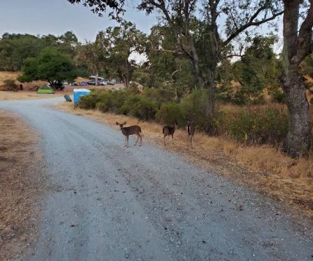 Snell Campground