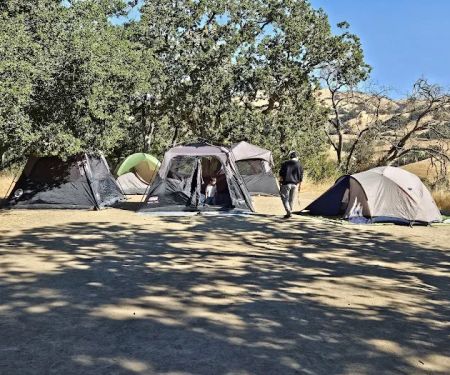 Halls Valley Group Site