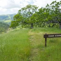 Oak View Backpack Camp ico