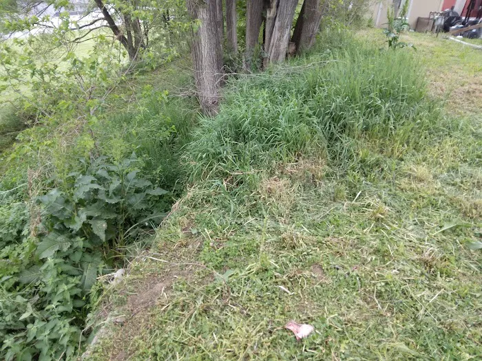 Home Trailer Park Picture 5