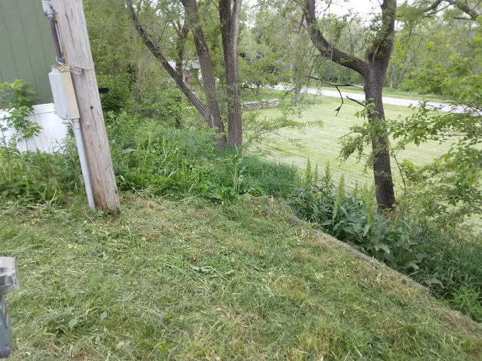 Home Trailer Park Picture 7
