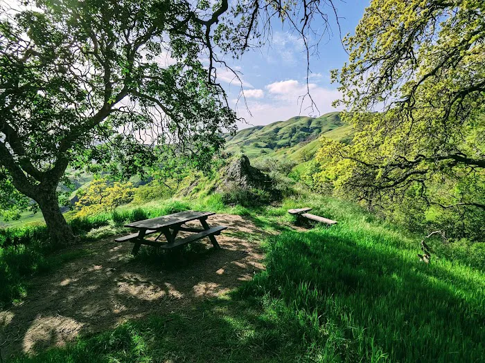 Sunol Backpack Camp Picture 4