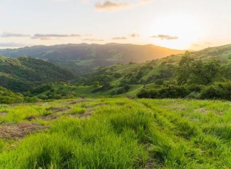 Sunol Backpack Camp