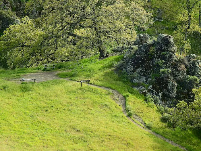 Sunol Backpack Camp Picture 8