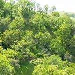 Hawks Nest Backpack Camp