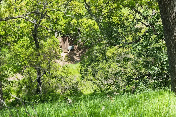 Sycamore Camp Picture 2