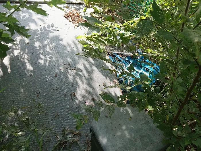 Bellevue Terrace Picture 4