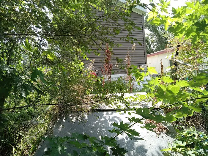 Bellevue Terrace Picture 9