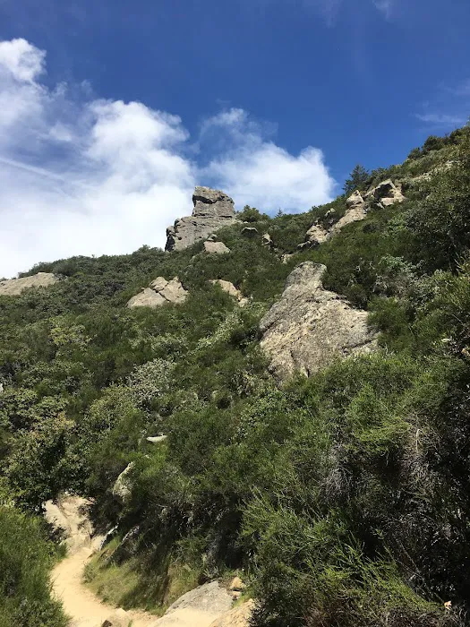 Castle Rock Trail Camp Picture 5