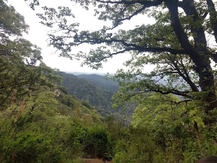 Castle Rock Trail Camp Picture 10
