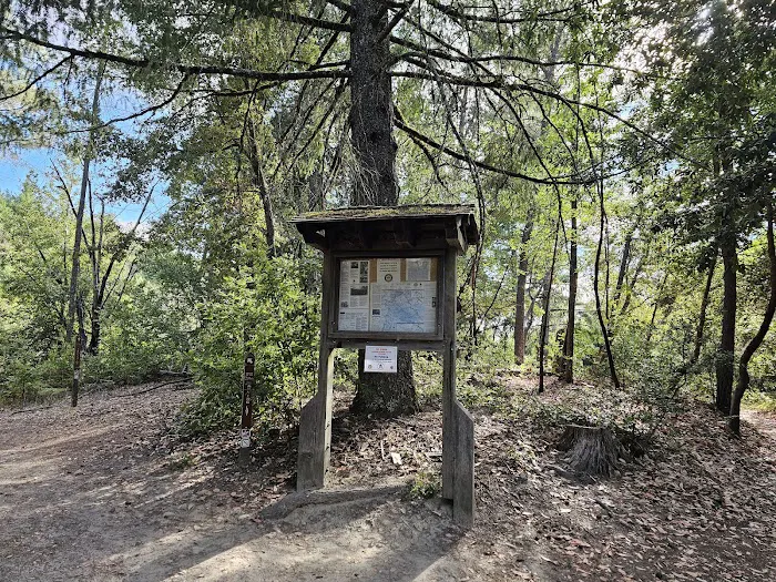 Castle Rock Trail Camp Picture 8