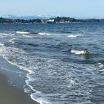 Camping - Cascade Marine Trail Sites