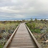 Fay Bainbridge Park ico