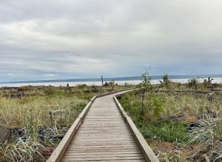 Fay Bainbridge Park