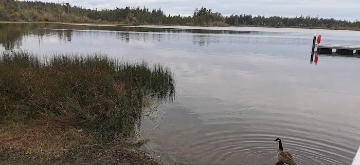 Manchester State Park Group Camp Site Picture 6