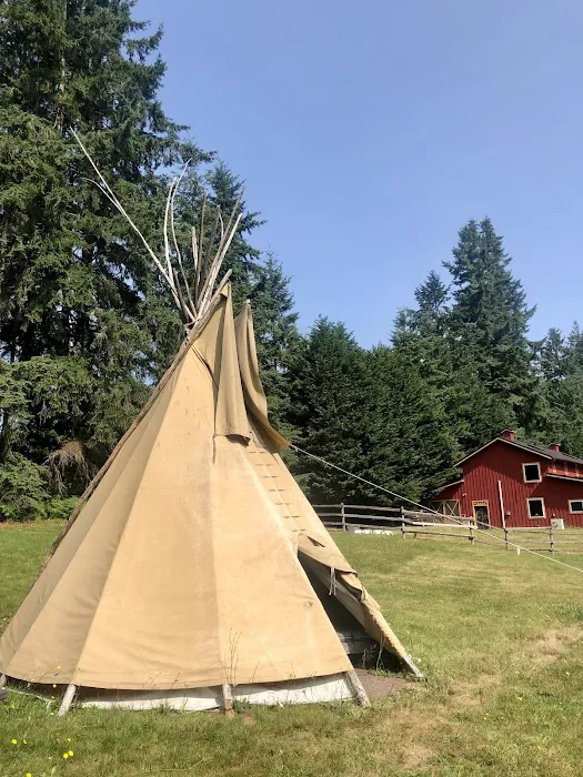 AYH Ranch Campground & Lodging Picture 6
