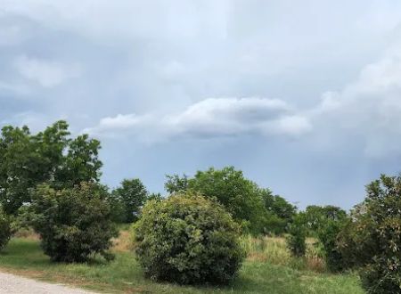Bruceville Eddy RV Park