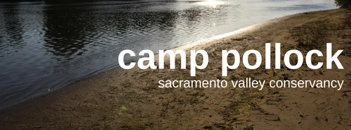 Camp Pollock Picture 10