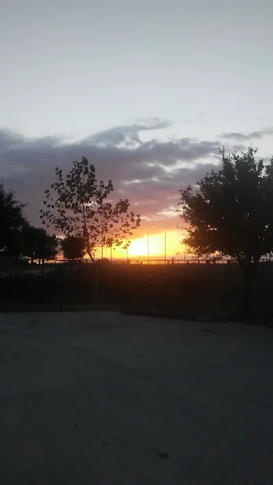 Bluebonnet Estates Picture 7