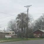 Nomad Villages and Community Parks