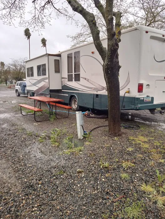 Yolo County Fairgrounds RV Park Picture 3