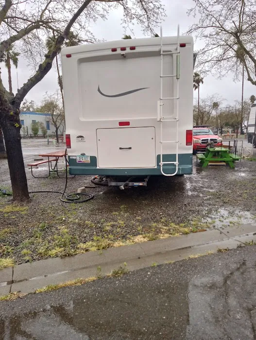 Yolo County Fairgrounds RV Park Picture 2