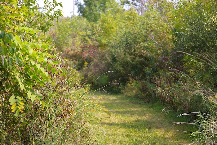 Cliffside Park Campgrounds Picture 4