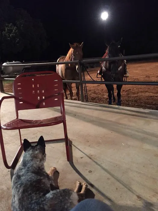 4C's Rodeo Ranch & RV Park Picture 3