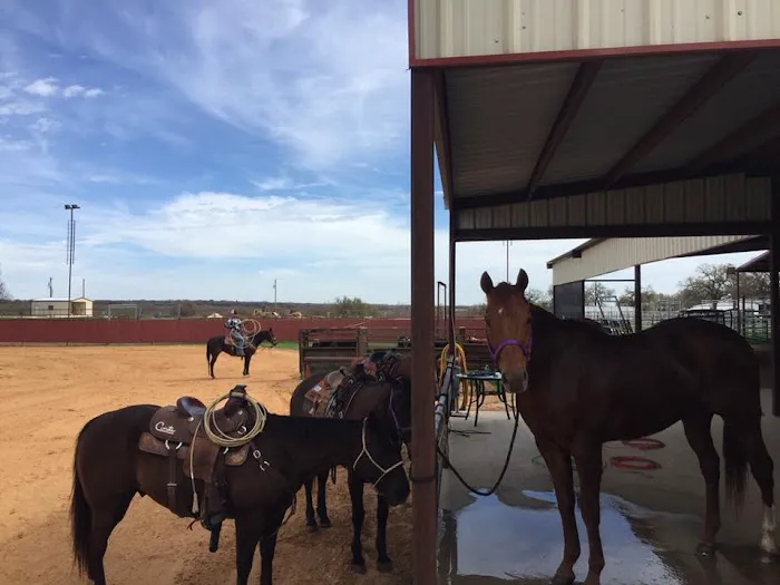 4C's Rodeo Ranch & RV Park Picture 5