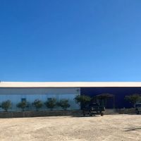 VW'S SPOT ico