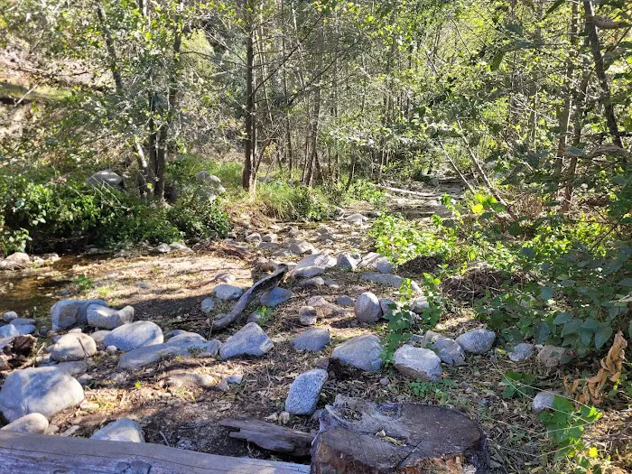 Gould Mesa Trail Camp Picture 3