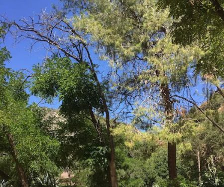 Gould Mesa Trail Camp