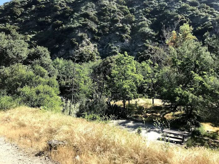 Gould Mesa Trail Camp Picture 5