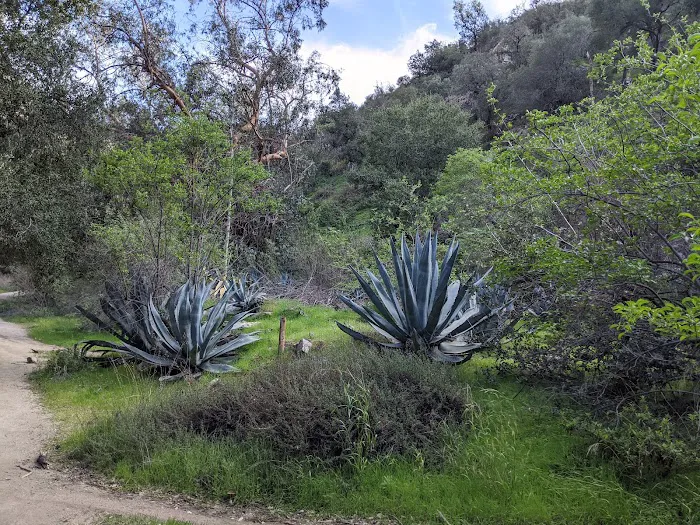 Gould Mesa Trail Camp Picture 4