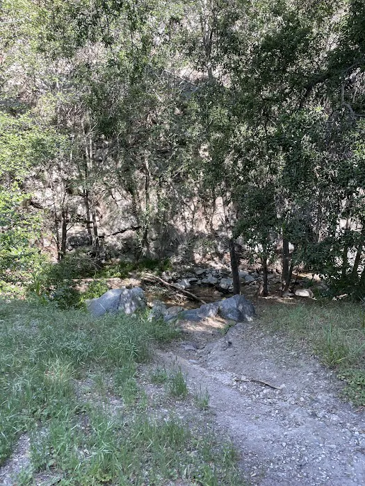 Gould Mesa Trail Camp Picture 8