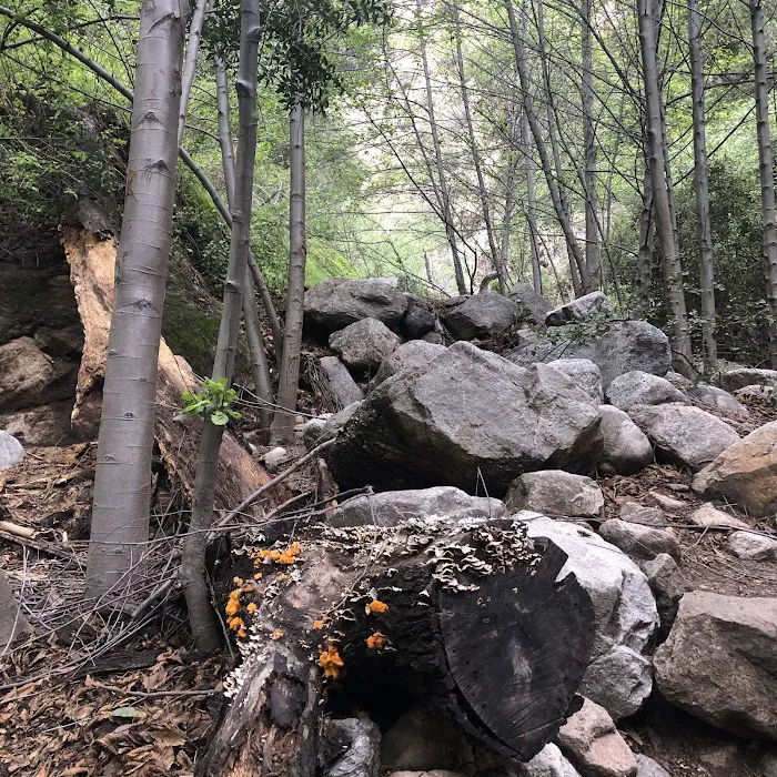Millard Trail Camp Picture 6