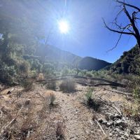 Oakwilde Campground ico