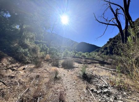 Oakwilde Campground