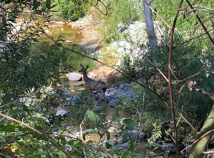 Oakwilde Campground Picture 4