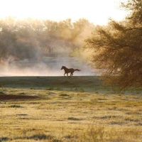 Hoof Prints Ranch ico