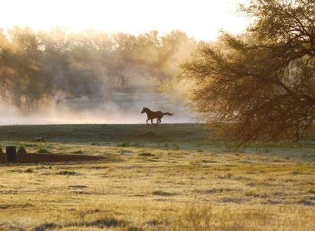 Hoof Prints Ranch