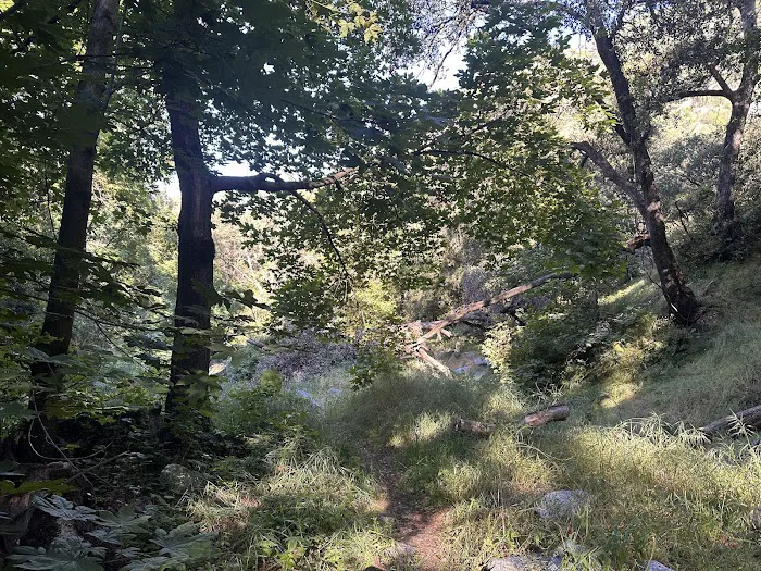 Idlehour Campground Picture 2